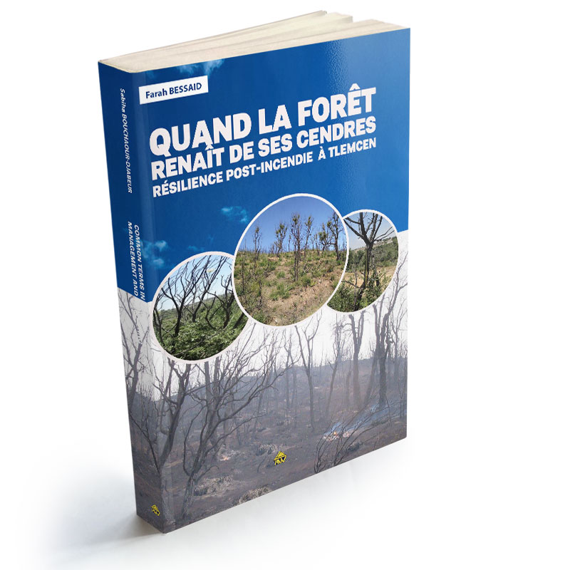 QUAND LA FORÊT RENAÎT DE SES CENDRES résilience post-incendie  à Tlemcen  